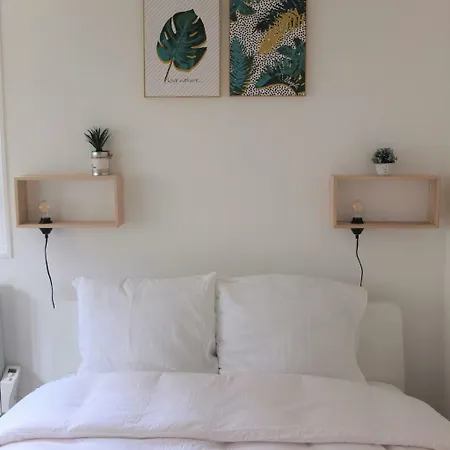 Duplex Lumineux En Centre Ville Proche Chu 公寓